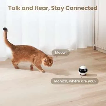 EBO Air 2 Indoor Pet Camera Robot with Night Vision
