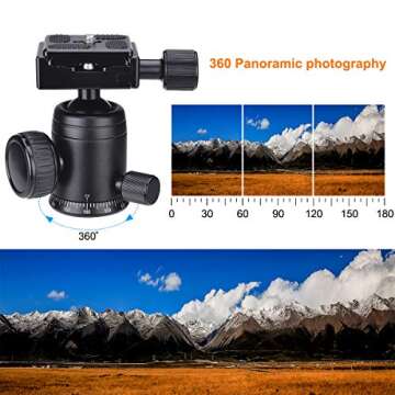 Professional Heavy Duty (20 lbs Load) DSLR Mirorrless Camera Suction Cup Car Mount Camcorder Vehicle Holder w/ 360°Panorama Ball Head + Quick Release Plate Compatible with Nikon Canon Sony RED BM