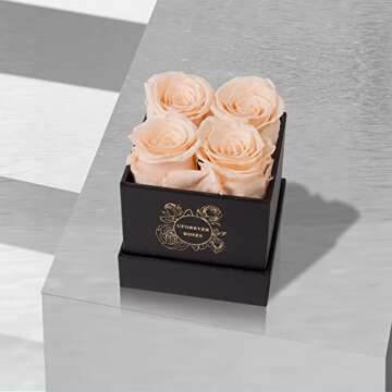 UFOREVER ROSES 4-Piece Preserved Roses in a Box, Preserved Flowers, Roses Gift for Her, Buttermilk