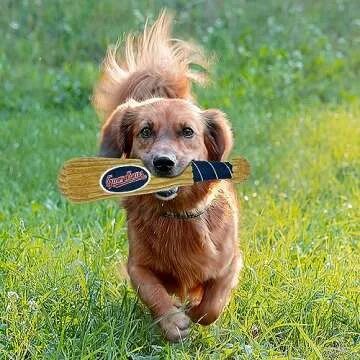 MLB Cleveland Guardians Baseball Bat Toy for DOGS & CATS. Soft Corduroy Plush Dog Toy with Inner SQUEAKER, MLB Chew Toys for Dogs or Cats. Durable Fun Interactive Dog Toy with Team Names and Logo