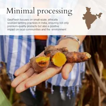 Geo-Fresh Organic Turmeric Ground, 1.76 oz (50g), More than 3% curcumin, Non-GMO, Kosher, 100% Organic, Gluten Free, USDA Certified