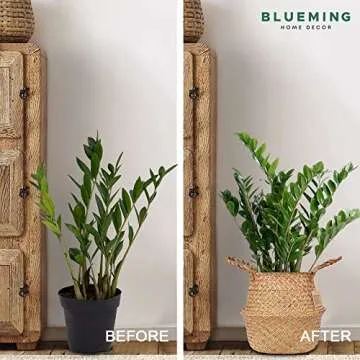 Blueming Eco-Friendly Seagrass Tree Basket for Home Decor