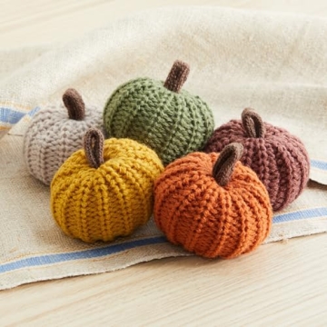 Mini Knit Pumpkins Set of 5 - Cozy Autumn Decor Gifts