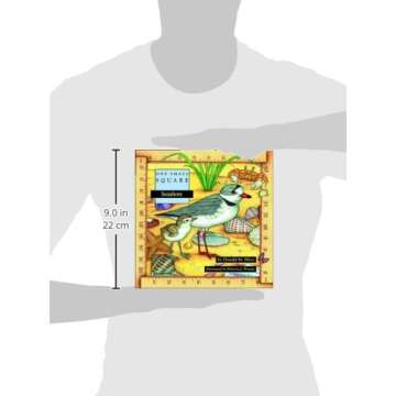 Seashore (One Small Square): Discover a World Beneath the Waves