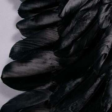 SEVADA Black Angel Wings and Halo, Angel Costume for Adult, Devil Dark Angel Costumes for Adults Women Men, Fallen Feather Angel Wing for Girls Kids Child Teen Boys Children