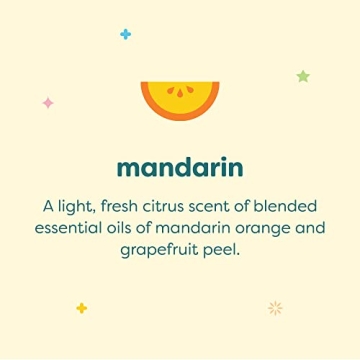 Babyganics Alcohol-Free Hand Sanitizing Wipes for Kids & Adults