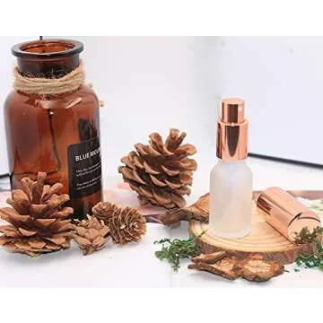 6 Packs Frosted Glass Spray Bottle Travel Spray Bottles Perfume Atomizer Fine Mist Spray Bottles DIY Empty Bottle For Essential Oils,Perfume,Cosmetic Liquids Funnel&dropper Labels Included, 15ml/0.5oz