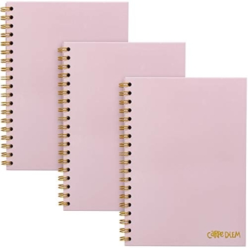 Stylish Pukka Pad Carpe Diem B5 Notebooks - 3-Pack with Durable Hardcovers