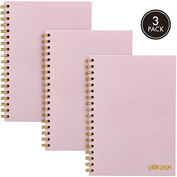 Carpe Diem B5 Notebooks 3-Pack in Ballerina Pink