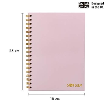 Carpe Diem B5 Notebooks 3-Pack in Ballerina Pink