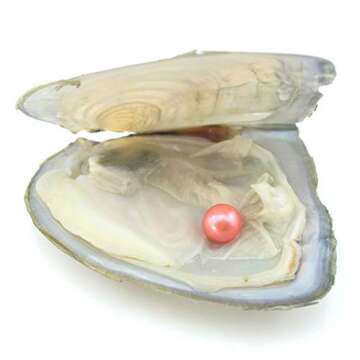 10PC Freshwater Pearl Cultured Love Wish Pearl Oyster with Round Pearl Inside for Pearl Gift Fun for...