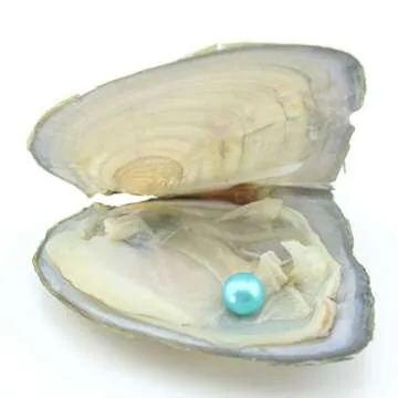 10PC Freshwater Pearl Oyster Set for Fun Gifts