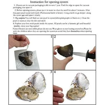 10PC Freshwater Pearl Oyster Set for Fun Gifts