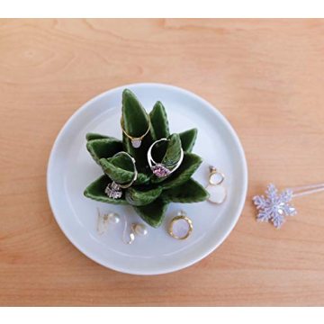Charming PUDDING CABIN Aloe Ring Holder for Jewelry
