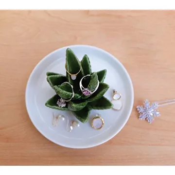 Charming PUDDING CABIN Aloe Ring Holder for Jewelry