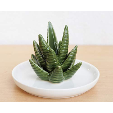 Charming PUDDING CABIN Aloe Ring Holder for Jewelry