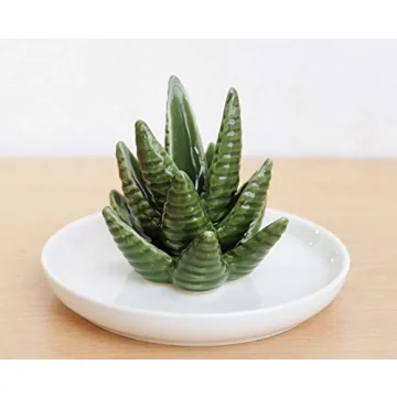 Charming PUDDING CABIN Aloe Ring Holder for Jewelry