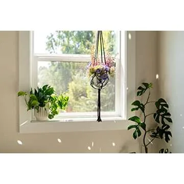 Havenstone Home Hanging Disco Ball Planter 8 Inch