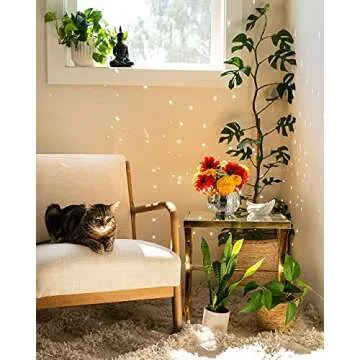Havenstone Home Hanging Disco Ball Planter 8 Inch