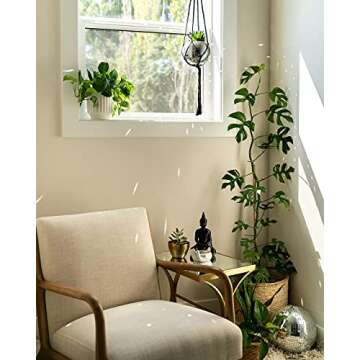 Havenstone Home Hanging Disco Ball Planter 8" - with Acrylic Stand and Macrame Plant Hanger - Home Décor, Room Décor, Mirror Disco Planter, Disco Decor (6" with Black Hanger, Flat Base)