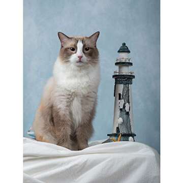 Kate 5x6.5ft(1.5x2m) Collapsible Backdrop Pink Blue Texture Pop up Backgrounds Collapsable Photography Photoshoot Prop