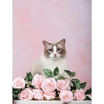 Kate 5x6.5ft(1.5x2m) Collapsible Backdrop Pink Blue Texture Pop up Backgrounds Collapsable Photography Photoshoot Prop