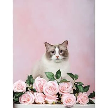 Kate 5x6.5ft(1.5x2m) Collapsible Backdrop Pink Blue Texture Pop up Backgrounds Collapsable Photography Photoshoot Prop