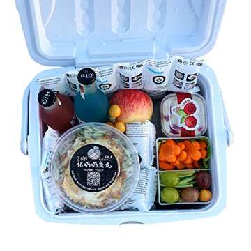 Shipping Cold Packs Dry Ice for Shipping Frozen Food, Freezer Ice Pack Sheets for Coolers 14'' X 13'', Flexible Freezer Cold Packs Keep Food Fresh Beverage Cold, 10 PCS Ice Blanket Sheets, 4 x 6 Cells