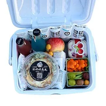 Shipping Cold Packs Dry Ice for Shipping Frozen Food, Freezer Ice Pack Sheets for Coolers 14'' X 13'', Flexible Freezer Cold Packs Keep Food Fresh Beverage Cold, 10 PCS Ice Blanket Sheets, 4 x 6 Cells