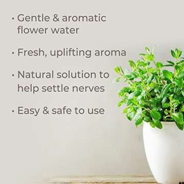 Plant Therapy Melissa Hydrosol 16 oz (Flower Water) by-Product of Essential Oils