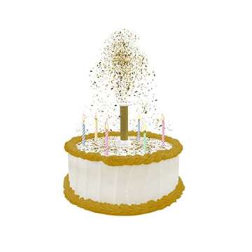 BEST PARTY EVER! Confetti Candle Cake Topper, Shower Your Cake in Edible Confetti Sprinkles, Fun Way...