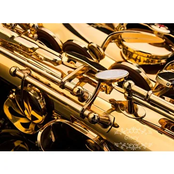 Glory Gold Lacquer E Flat Alto Saxophone for All Musicians