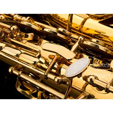 Glory Gold Lacquer E Flat Alto Saxophone for All Musicians