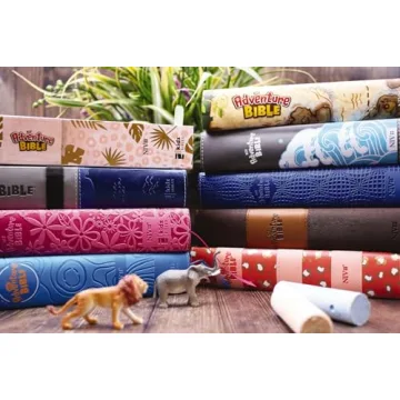 NIV Adventure Bible for Children - Engaging and Illustrated