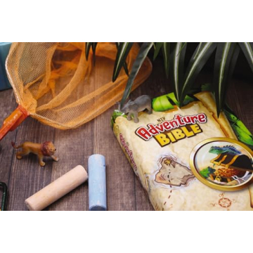 NIV Adventure Bible for Children - Engaging and Illustrated