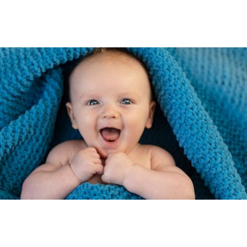 Babies Love Numbers Fun Lift-a-Flap Learning Book