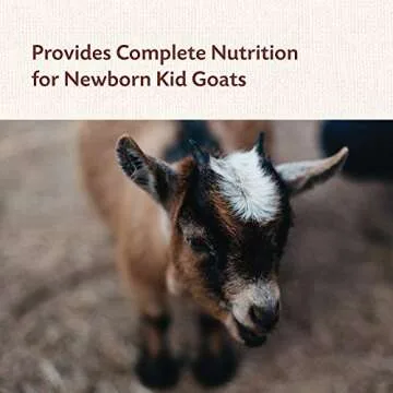 Manna Pro Goat Kid Colostrum Supplement - Feed for First 24 Hours of Life - Helps Promote Healthy Development - Fortified with Vitamins & Minerals - 8 Ounces