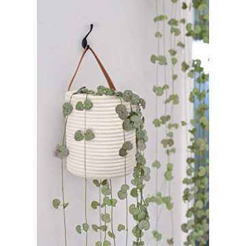 Goodpick 2-Pack Hanging Basket for Stylish Storage
