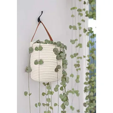 Goodpick 2-Pack Hanging Basket for Stylish Storage