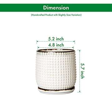 D'vine Dev 5 Inch Ceramic Beaded Planter Pot with Saucer