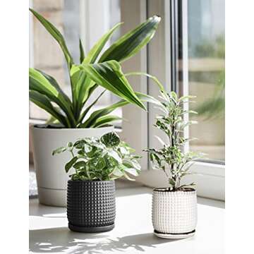 D'vine Dev 5 Inch Ceramic Beaded Planter Pot with Saucer