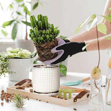 D'vine Dev 5 Inch Ceramic Beaded Planter Pot with Saucer