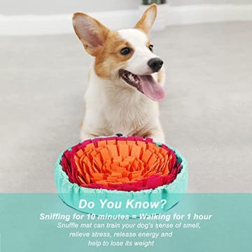 Vivifying Snuffle Mat for Dogs Interactive Fun for Pets