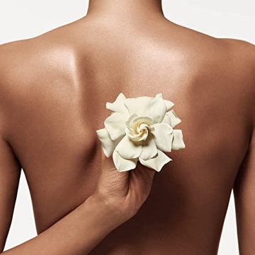 Donna Karan Cashmere Mist Deodorant Stick for Women