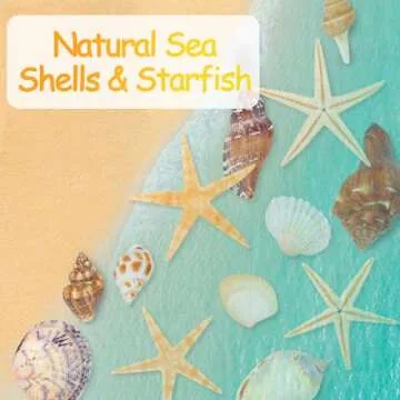 80+ Pcs Natural Seashells & Starfish for DIY Crafts