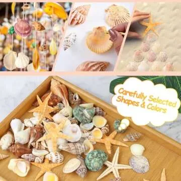 80+ Pcs Natural Seashells & Starfish for DIY Crafts