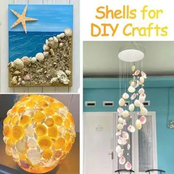 80+ Pcs Natural Seashells & Starfish for DIY Crafts