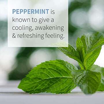 Garden of Life Essential Oil, Peppermint 1 fl oz (30 mL), USDA Organic & Pure, Undiluted & Non-GMO - for Diffuser, Aromatherapy, Meditation - Energizing, Invigorating, Refreshing, Uplifting