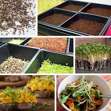 Handy Pantry 10-Pack 1020 Garden Growing Trays with Drain Holes - 10" x 20" Plastic Plant - Wheatgrass Sprouting, Microgreens Seed Tray, Hydroponic Trays, Nursery Flats, Greenhouse Supplies.