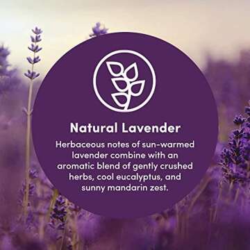 Clean Revolution Foaming Hand Soap Refill Supply Container. Ready to Use Formula. Natural Lavender F...